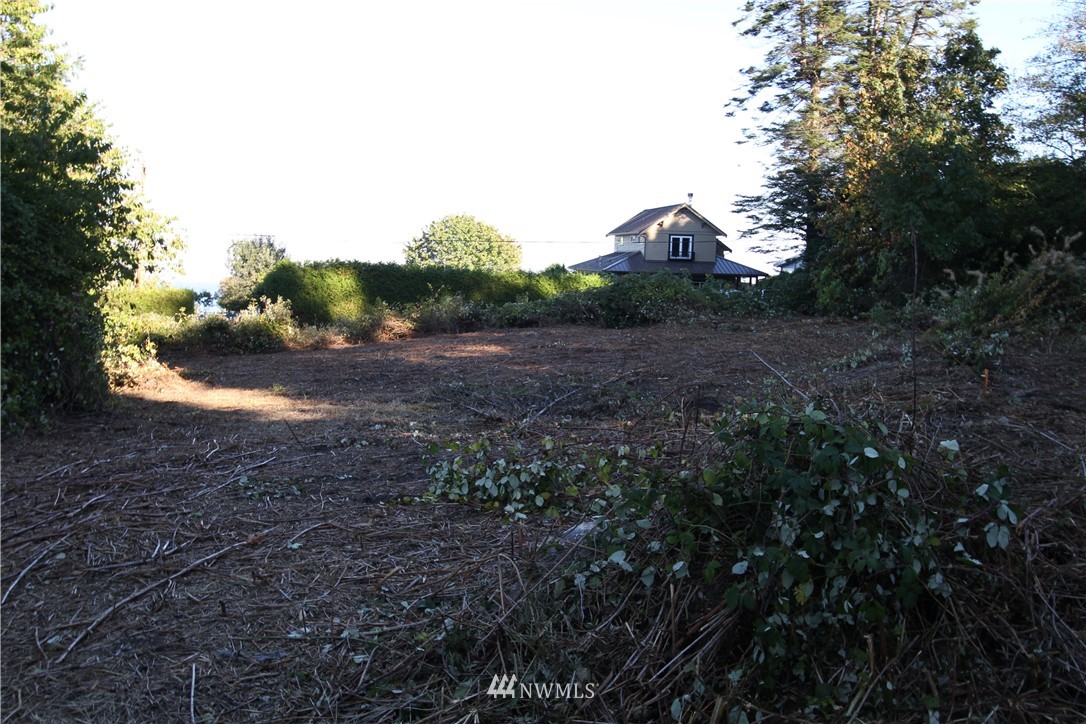 0 Wicklow Place Point Roberts, WA 98281 - Photo 4 of 13 Gallery Image 4