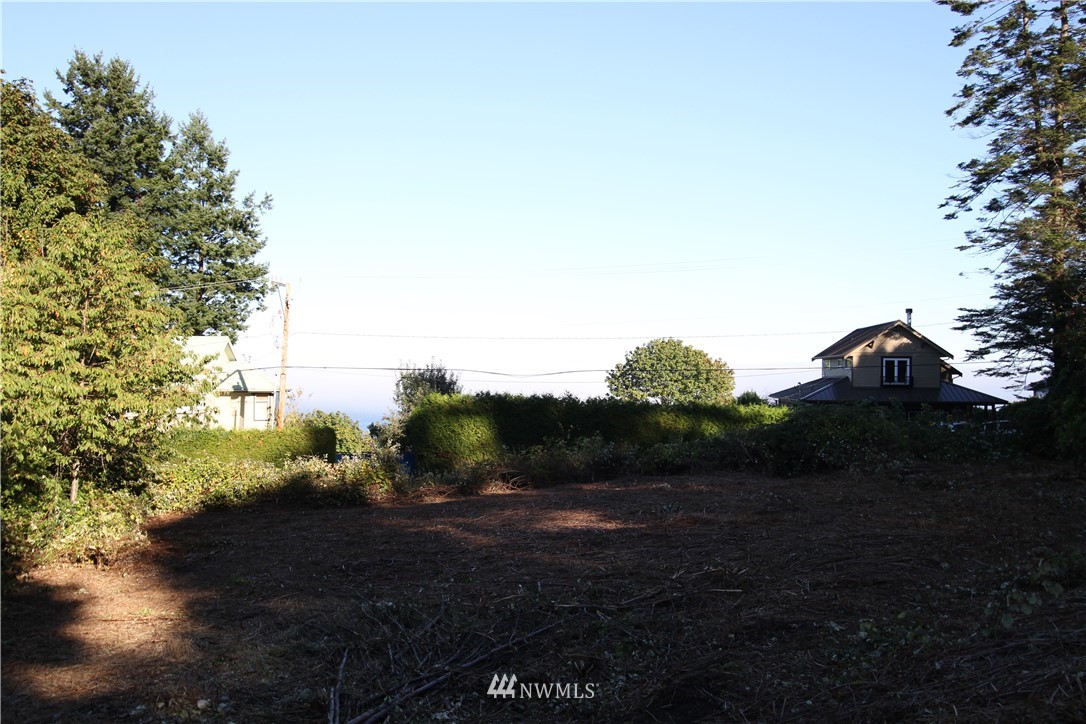0 Wicklow Place Point Roberts, WA 98281 - Photo 5 of 13 Gallery Image 5