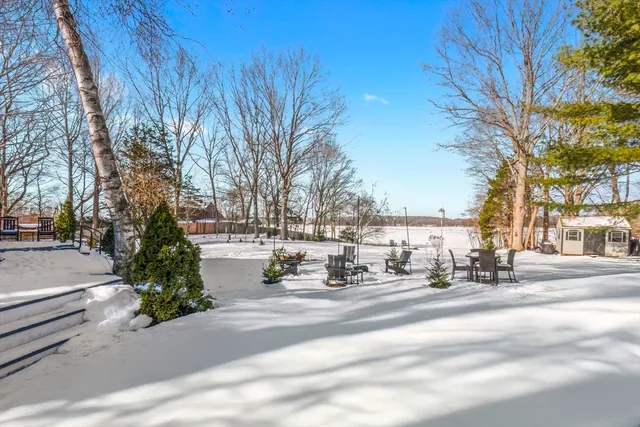 a street view with large trees