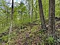 478 Hamilton Road Crown City, OH 45623 - Photo 25 of 29 IMG_0928