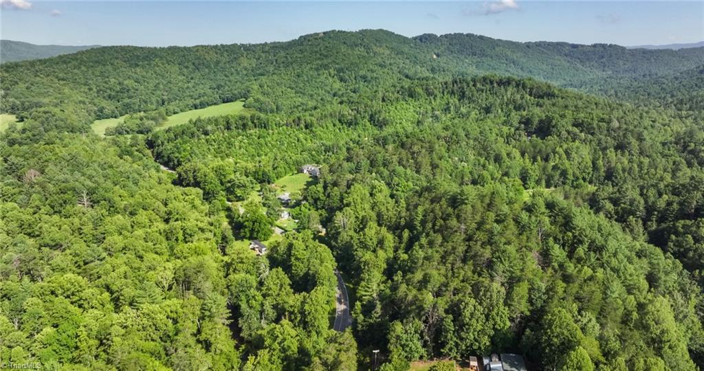 Tbd Boone Trail Purlear, NC 28665 - Photo 38 of 45