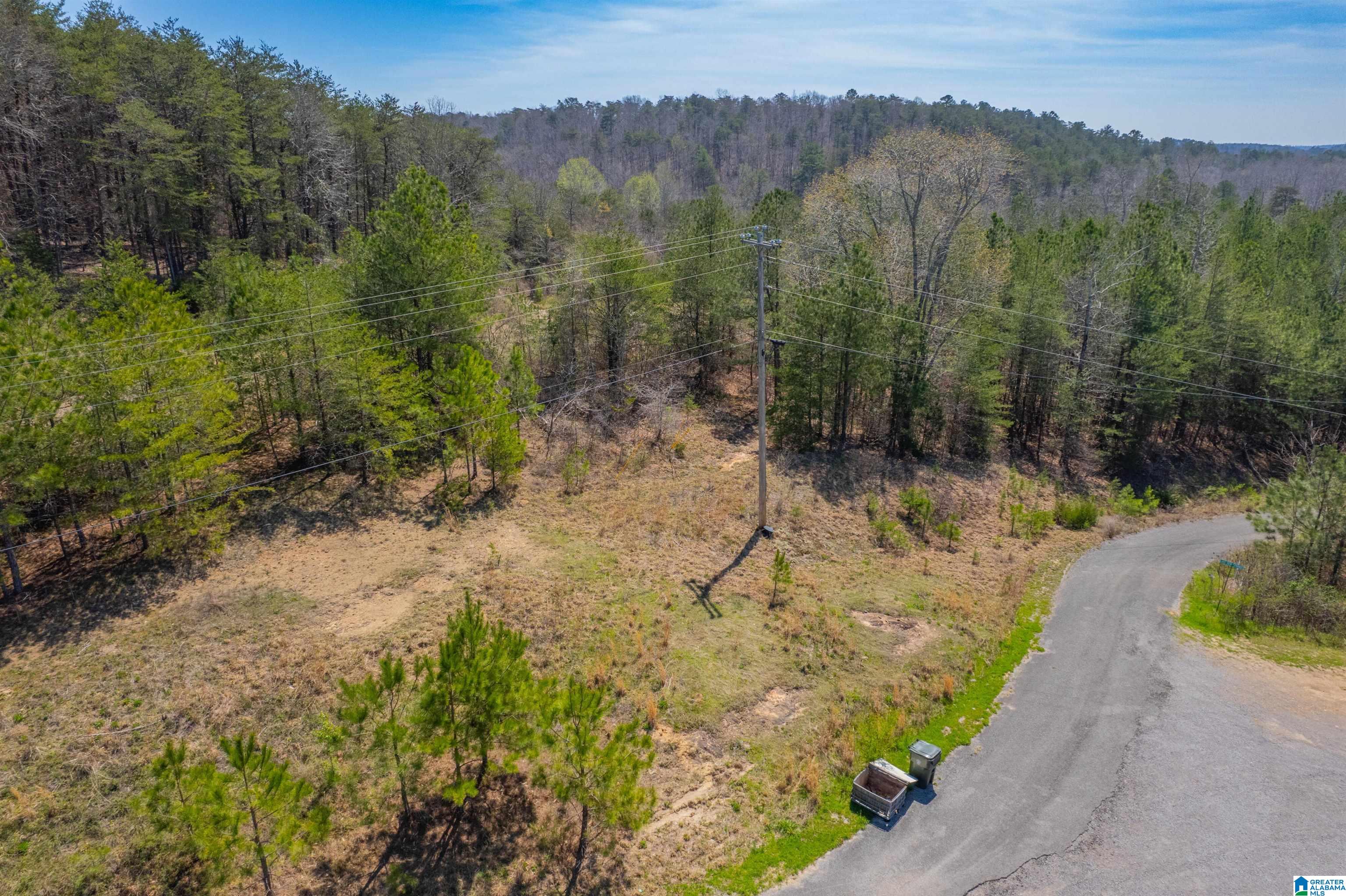 0 Lakeview Lane Houston, AL 35572 - Photo 10 of 15