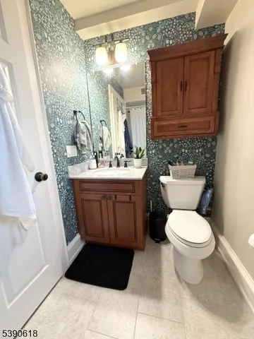 a bathroom with a sink and a toilet