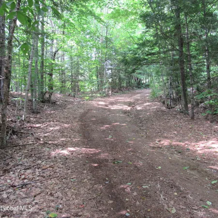 $30,000 | L2 Palmer Priv Lane, Northville, NY 12134