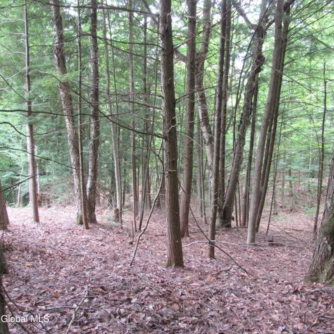 $30,000 | L2 Palmer Priv Lane, Northville, NY 12134