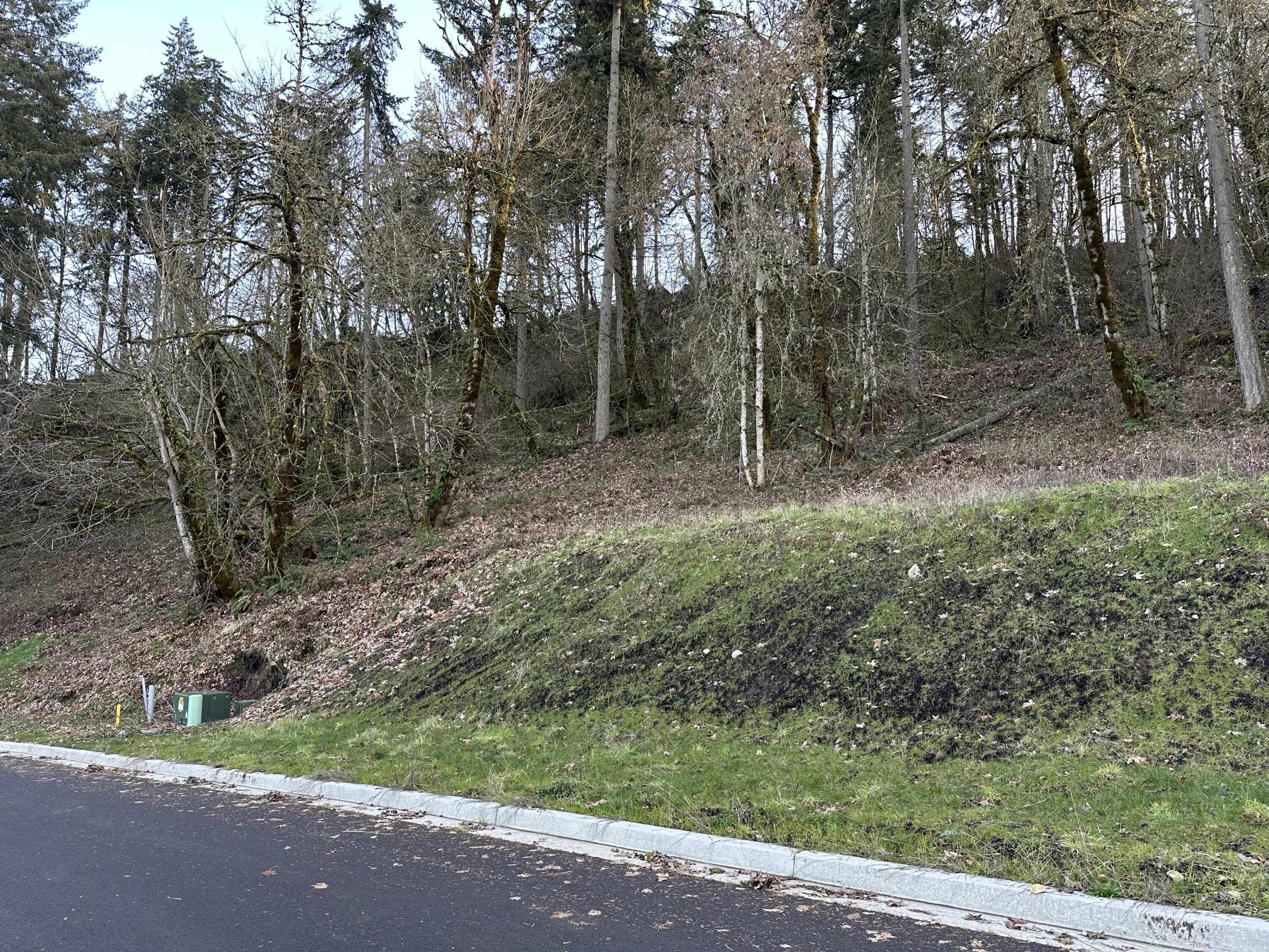 Weldon Lane, Unit 90 Eugene, OR 97403 - Photo 1 of 1 Lot Face