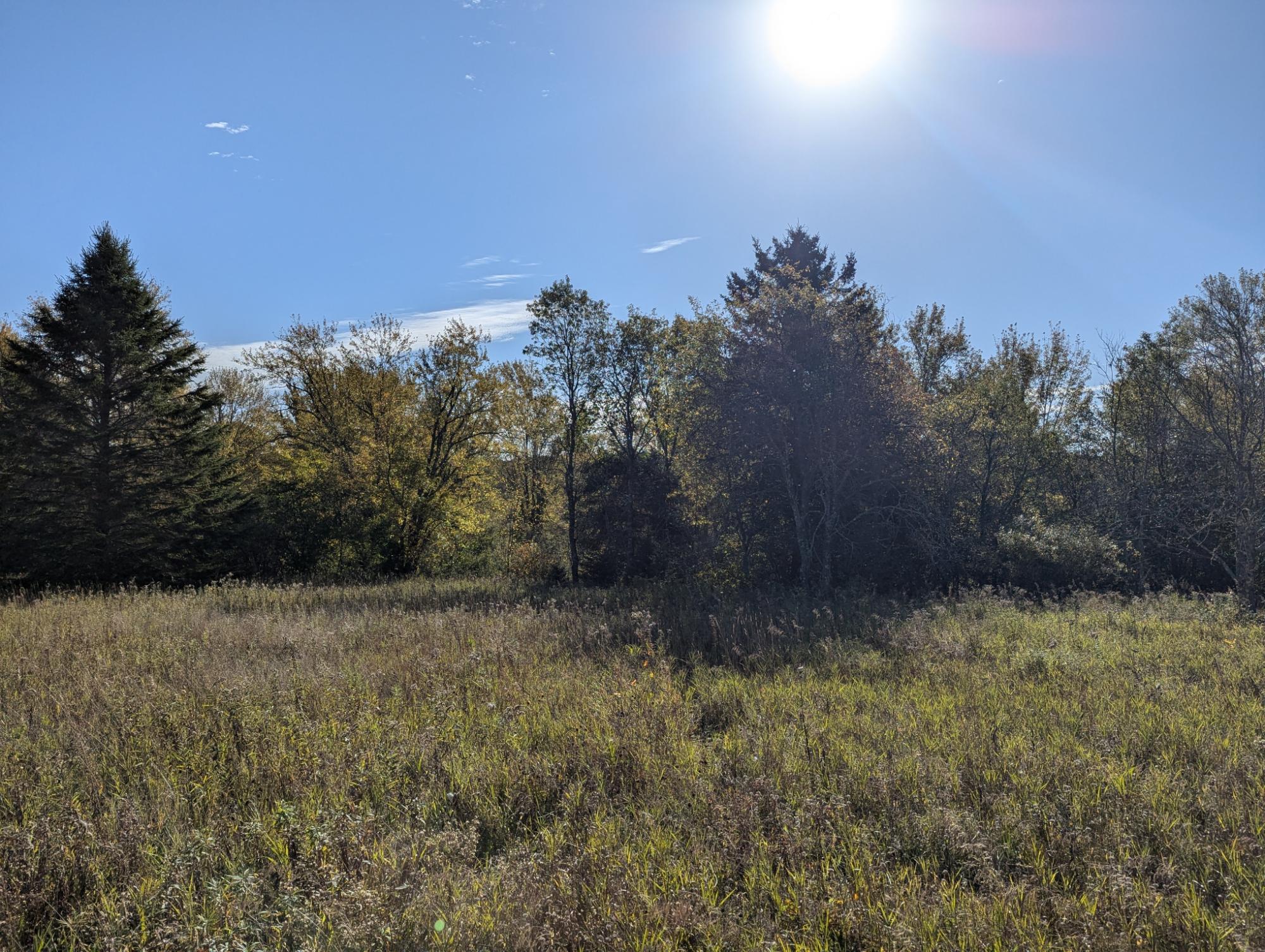 0 Bert Schmidt Road Glidden, WI 54527 - Photo 17 of 20