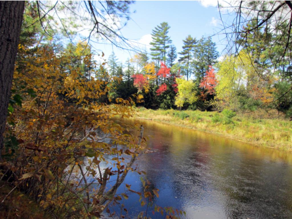 370 River Road Epsom, NH 03234 - Photo 21 of 30