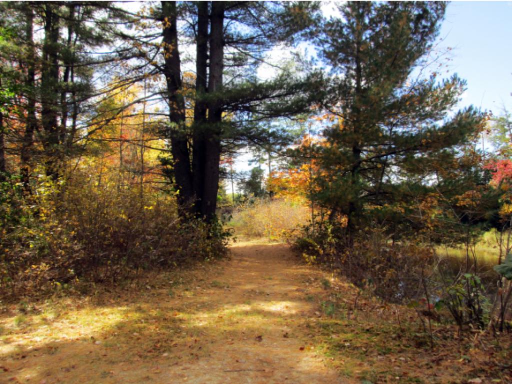 370 River Road Epsom, NH 03234 - Photo 22 of 30