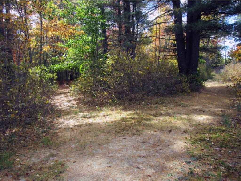 370 River Road Epsom, NH 03234 - Photo 23 of 30