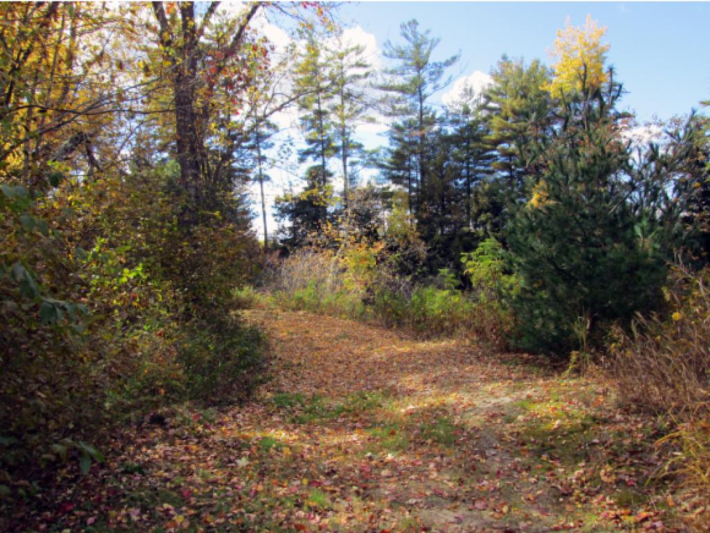 370 River Road Epsom, NH 03234 - Photo 25 of 30