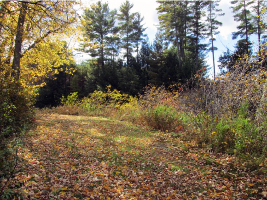 370 River Road Epsom, NH 03234 - Photo 26 of 30