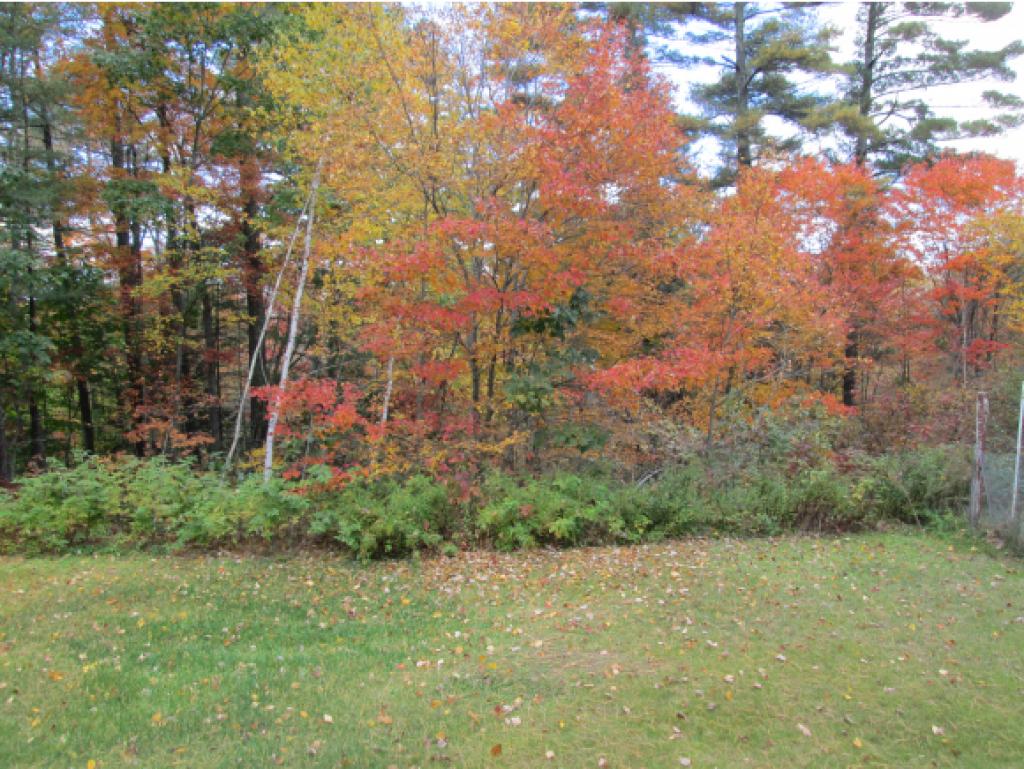 370 River Road Epsom, NH 03234 - Photo 30 of 30