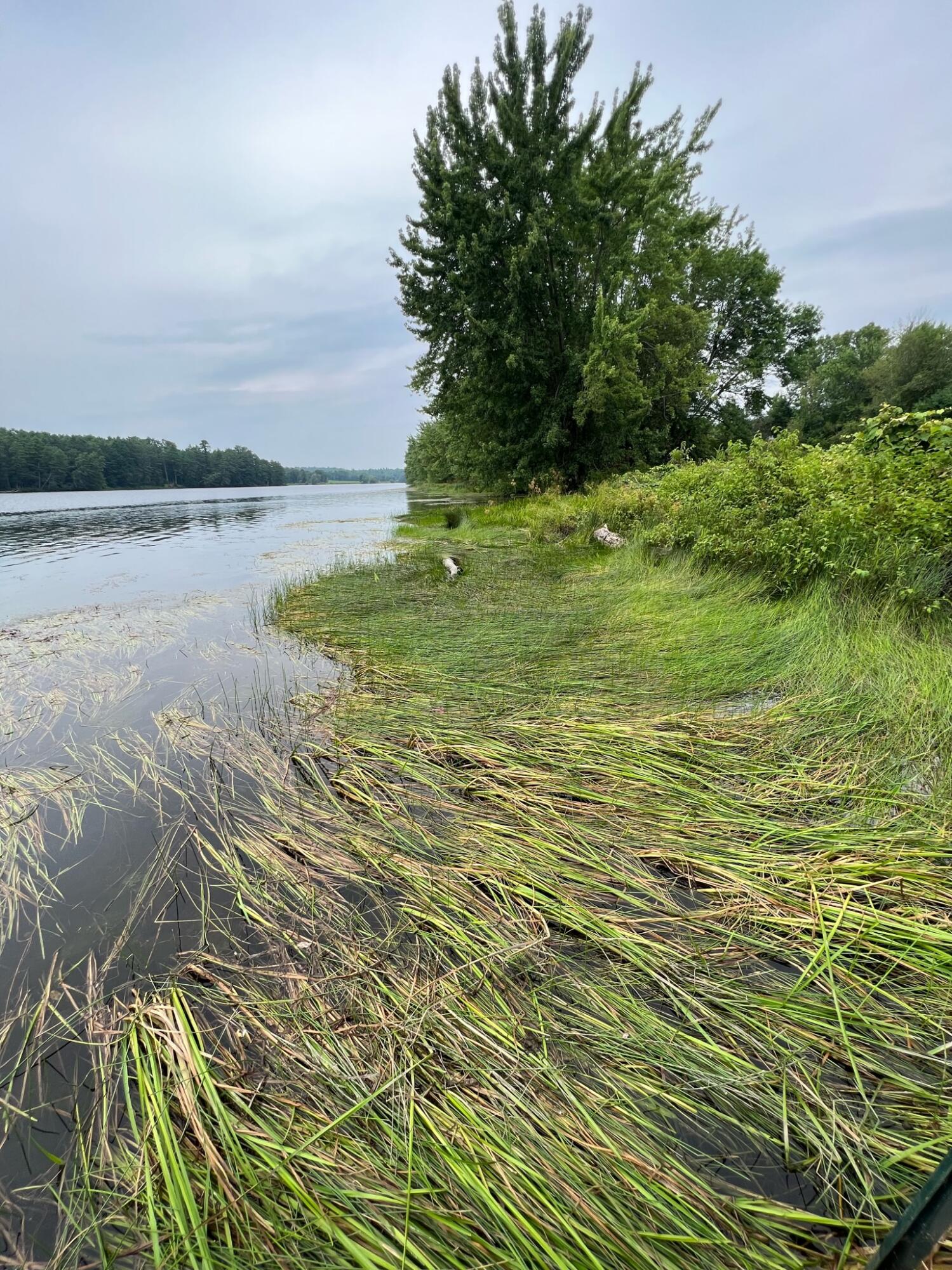 675 River Road Leeds, ME 04263 - Photo 72 of 76 Waters Edge