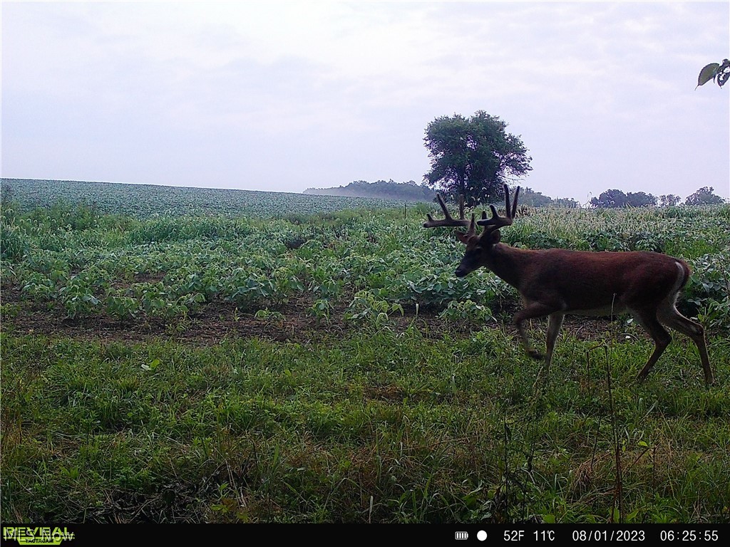 80960 Burkhart Road Tippecanoe, OH 44699 - Photo 9 of 50