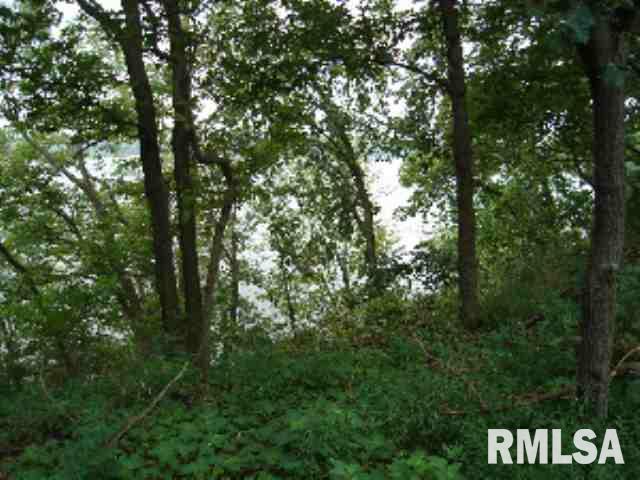 16716 River Road North, Unit NORTH Cordova, IL 61242 - Photo 3 of 6 Gallery Image 3