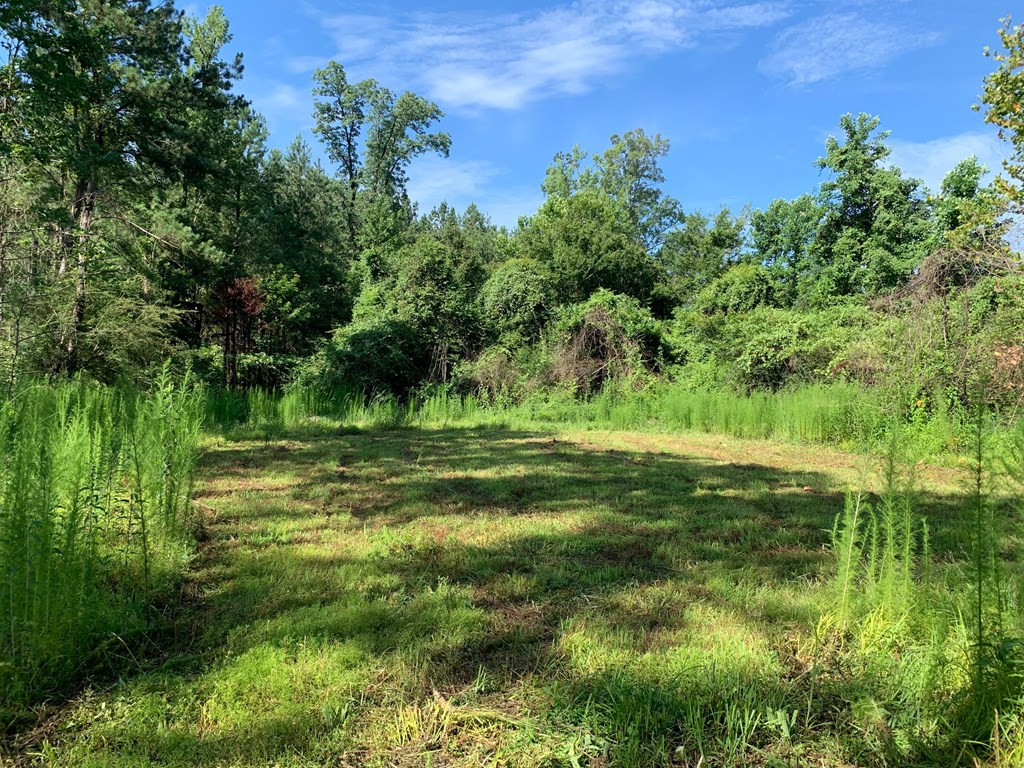 . Meadville Road Liberty, MS 39645 - Photo 16 of 22 Photo 16