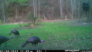. Meadville Road Liberty, MS 39645 - Photo 21 of 22 Photo 21