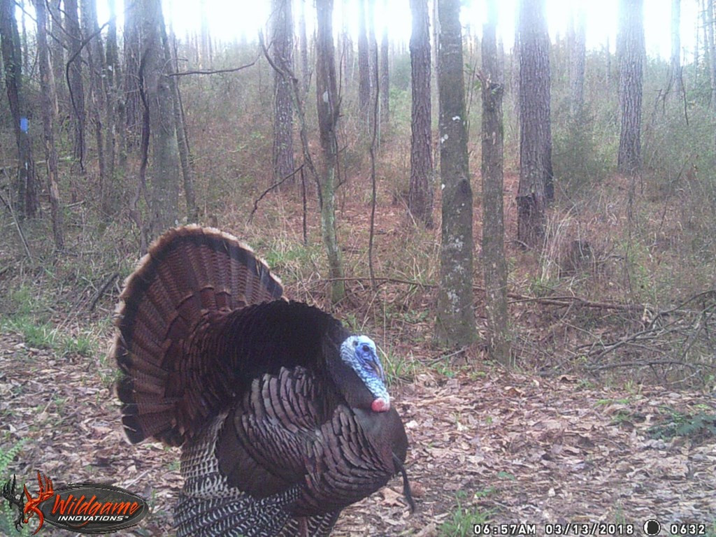 . Meadville Road Liberty, MS 39645 - Photo 22 of 22 Photo 22