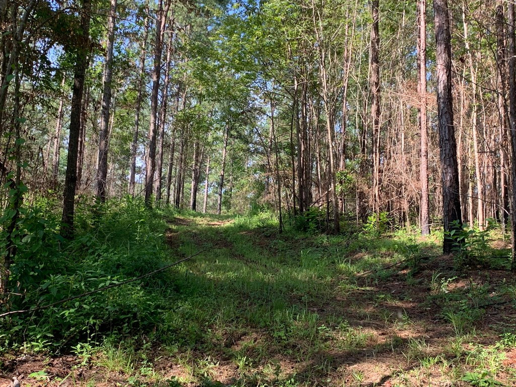 . Meadville Road Liberty, MS 39645 - Photo 6 of 22 Photo 6