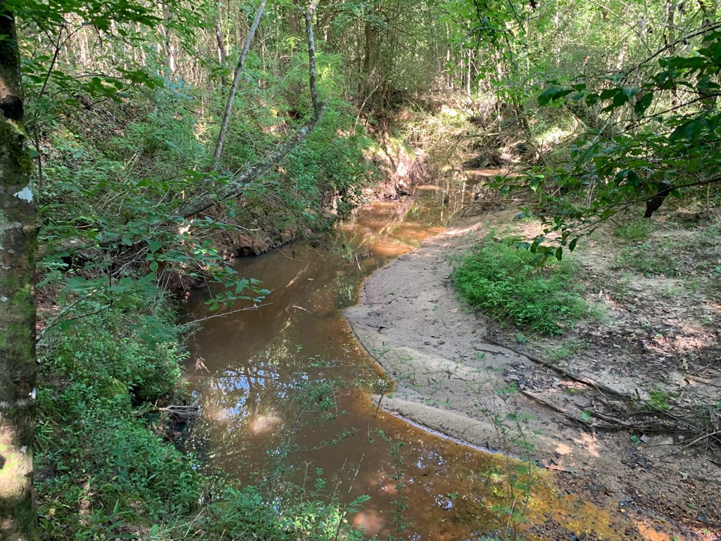. Meadville Road Liberty, MS 39645 - Photo 10 of 22 Photo 10