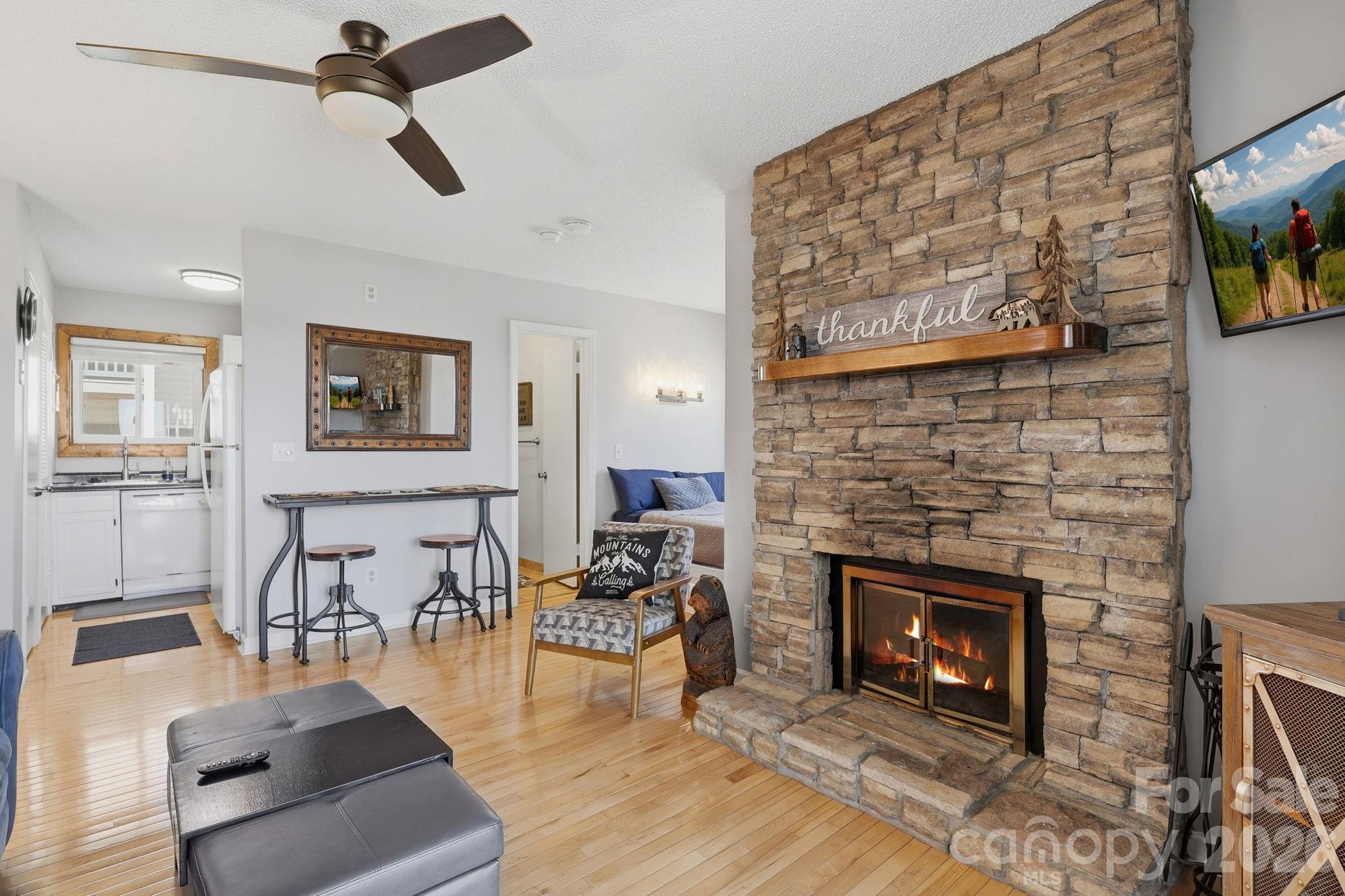 301 Pinnacle Inn Road, Unit 4208 Beech Mountain, NC 28604 - Photo 5 of 23 Gallery Image 5
