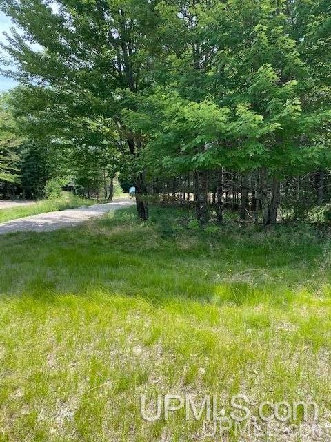 7752 R.75 Lane Rapid River, MI 49878 - Photo 5 of 9