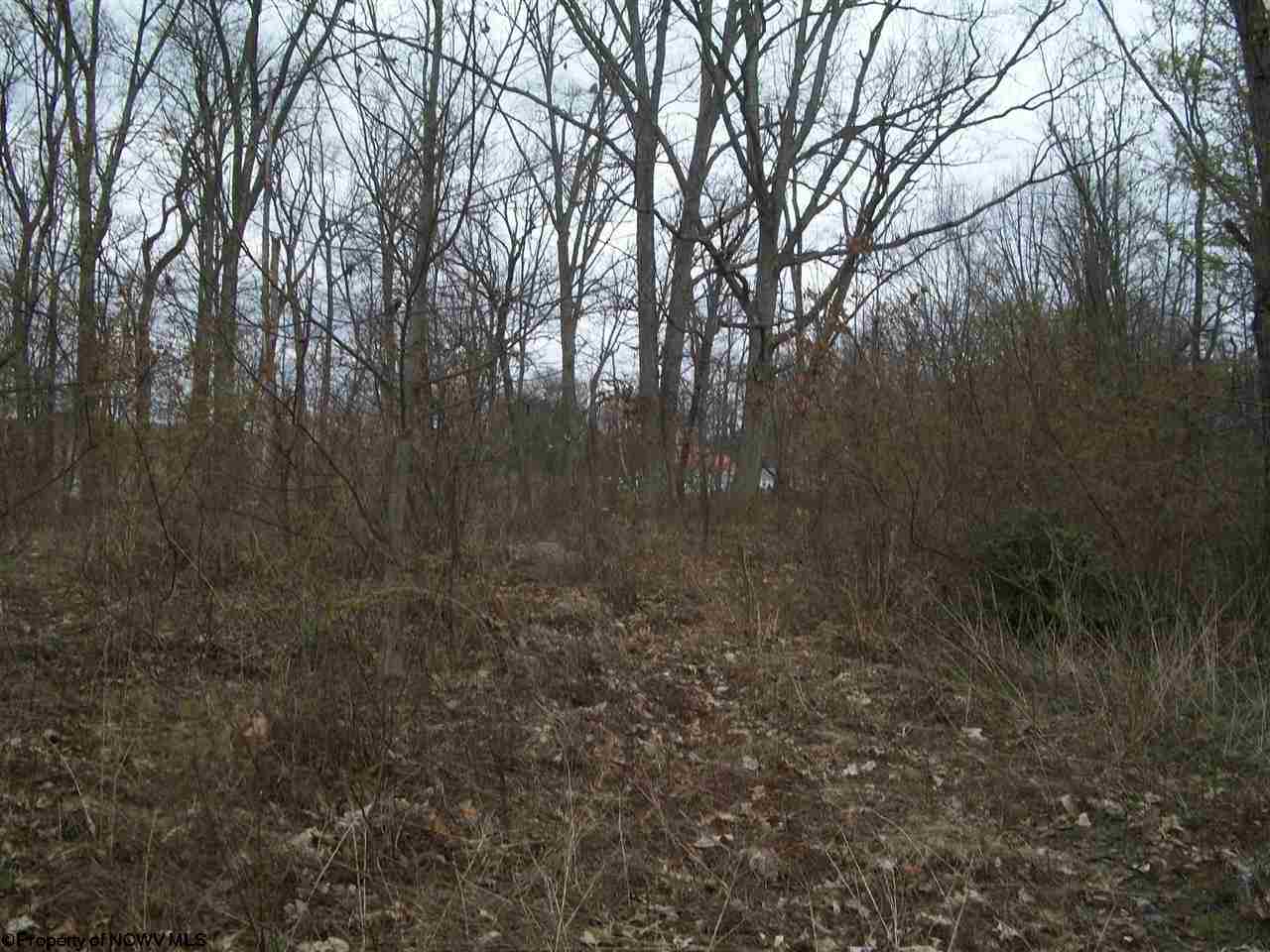 Sand Run Road Philippi, WV 26416 - Photo 5 of 11 Gallery Image 5