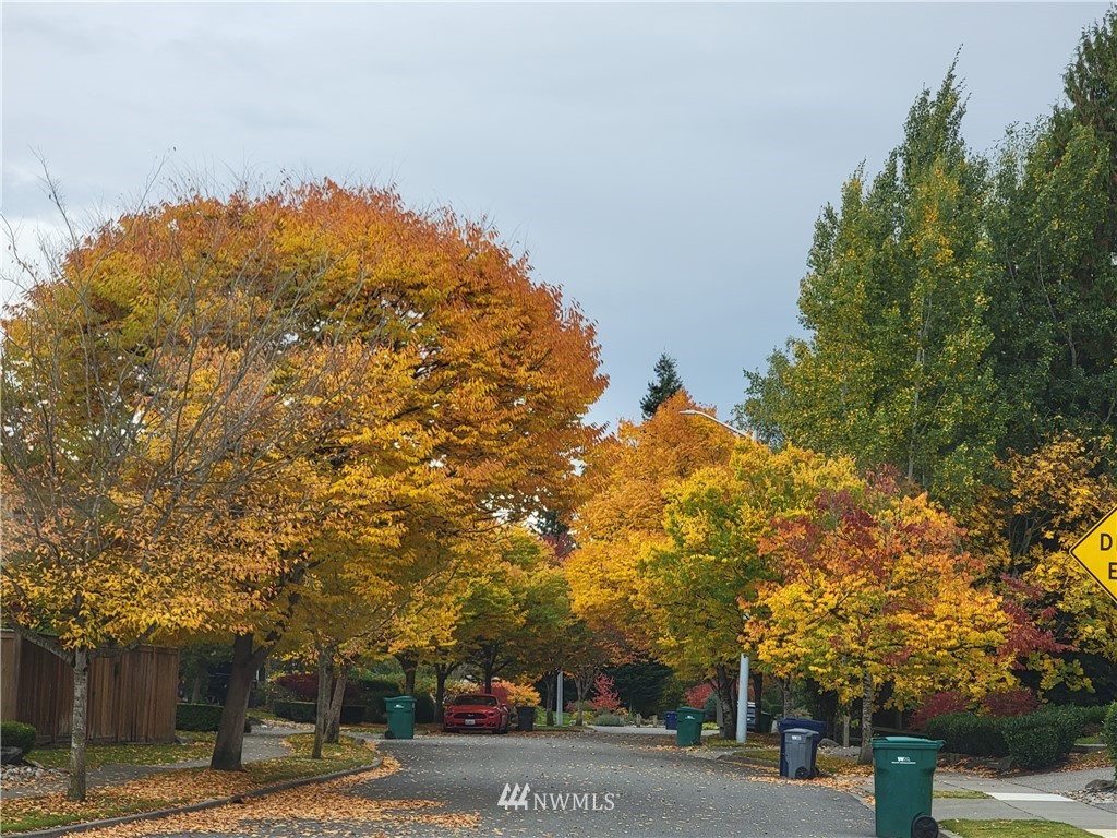 15722 36th Avenue Southeast Bothell, WA 98012 - Photo 21 of 23 Gallery Image 21