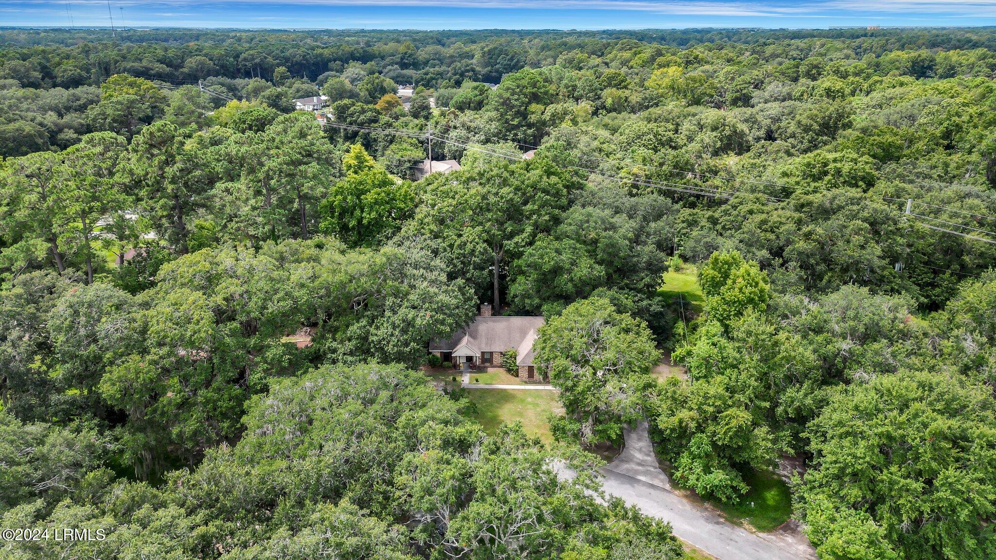 3063 Ratel Circle Beaufort, SC 29902 - Photo 47 of 61 62-web-or-mls-DJI_0369