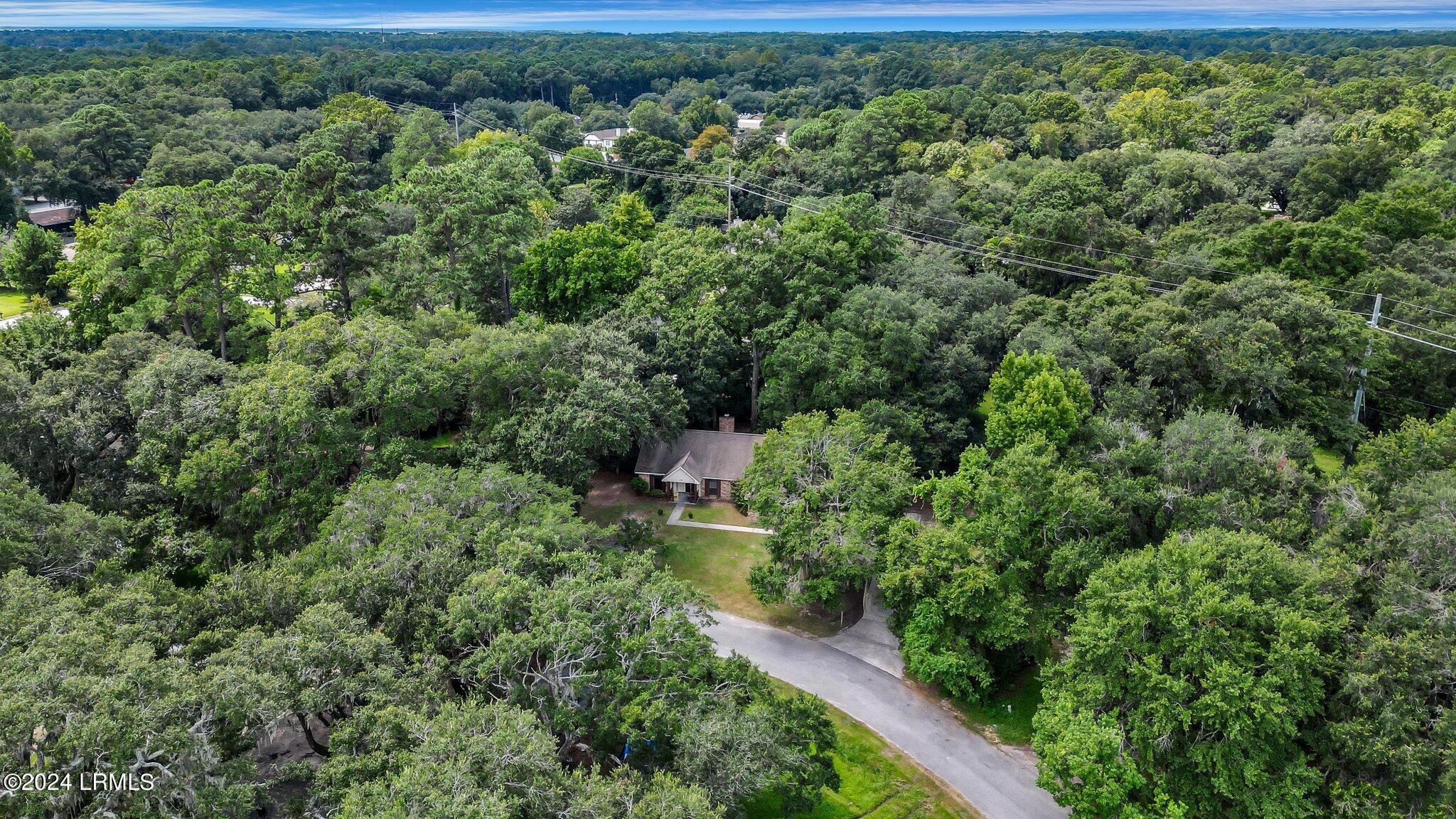 3063 Ratel Circle Beaufort, SC 29902 - Photo 48 of 61 64-web-or-mls-DJI_0370
