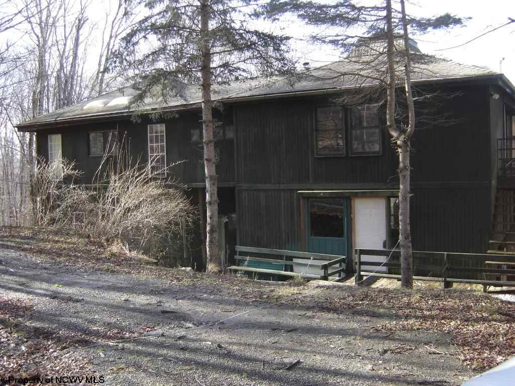 423 Cabin Mountain Road Davis, WV 26260 - Photo 1 of 20 Gallery Image 1