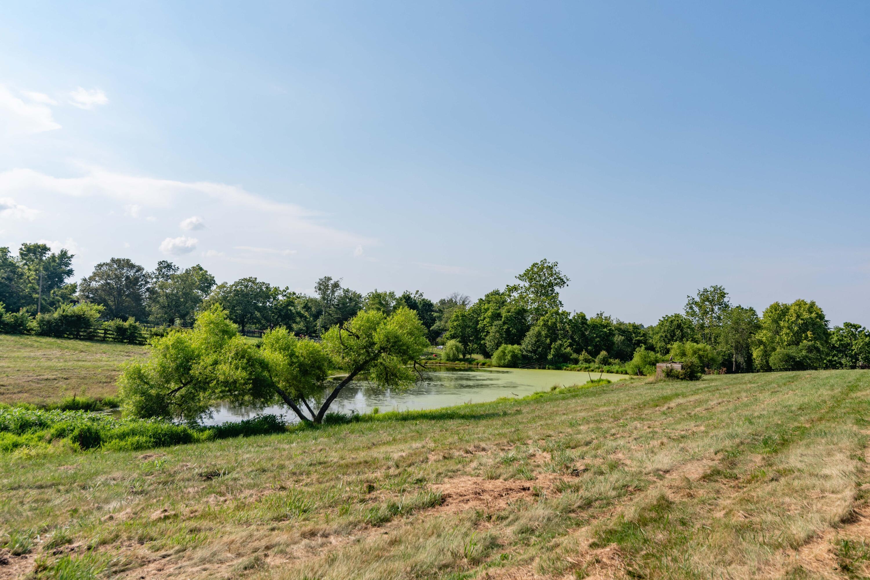2450 Vince Road Nicholasville, KY 40356 - Photo 52 of 62 THP_2183-2450-vince-rd