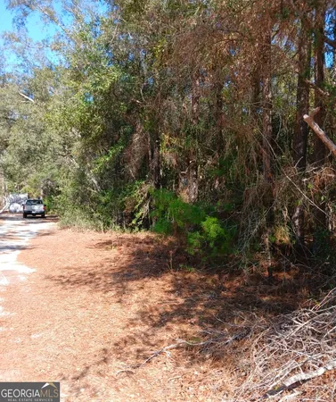 a view of a yard with plants and trees
