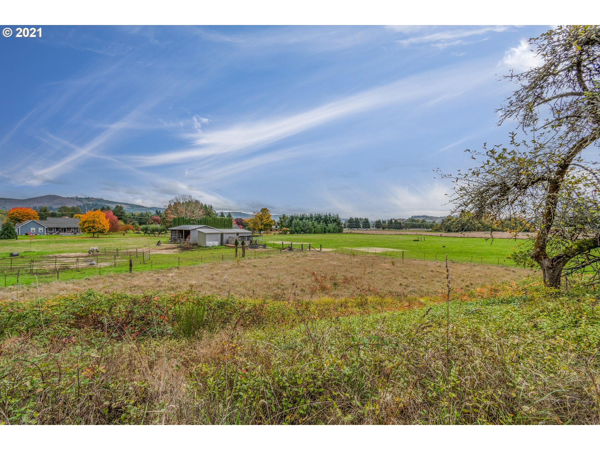 209 Quick Road Castle Rock, WA 98611 - Photo 31 of 31 Gallery Image 31