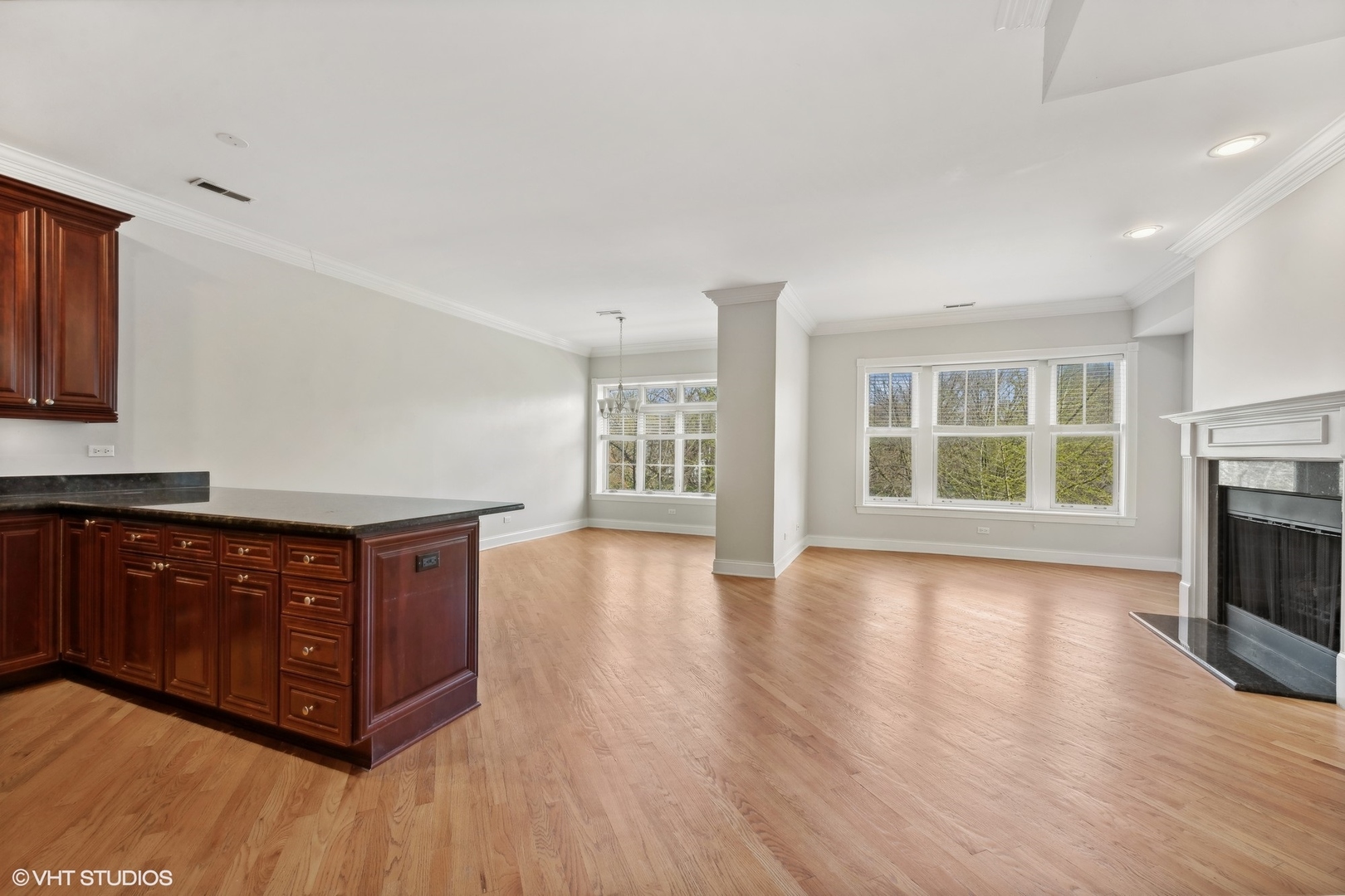 1016 Main Street, Unit 2 Evanston, IL 60202 - Photo 5 of 18 a room with wooden floors and a fireplace