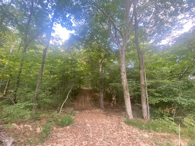 $438,899 | 0 Leopold-oriole Road, Leopold, IN 47551