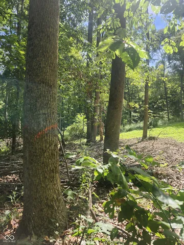 $438,899 | 0 Leopold-oriole Road, Leopold, IN 47551