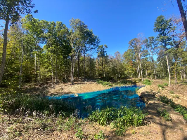 $438,899 | 0 Leopold-oriole Road, Leopold, IN 47551