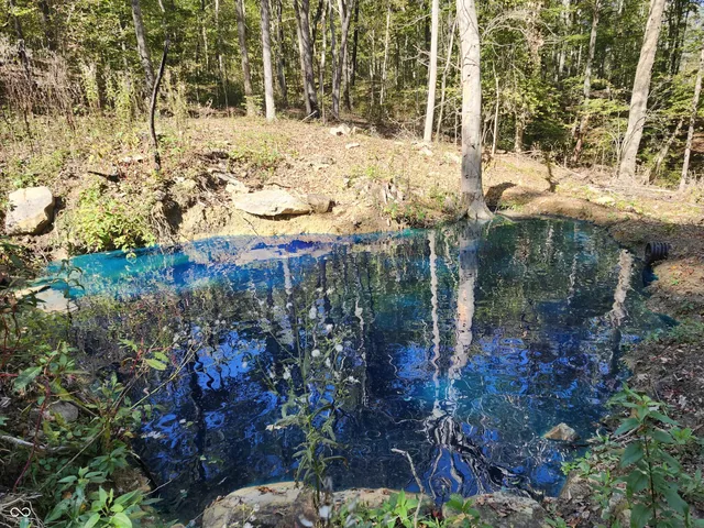 $438,899 | 0 Leopold-oriole Road, Leopold, IN 47551