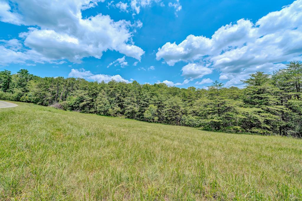0 Ivyland Road Roanoke, VA 24014 - Photo 10 of 15 IMG_0198
