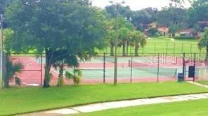 a view of a park with large trees