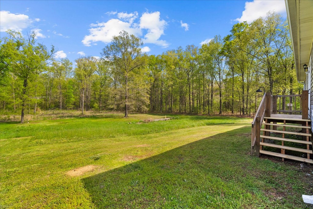 234 Wilson Road Chatsworth, GA 30705 - Photo 34 of 51 Gallery Image 34
