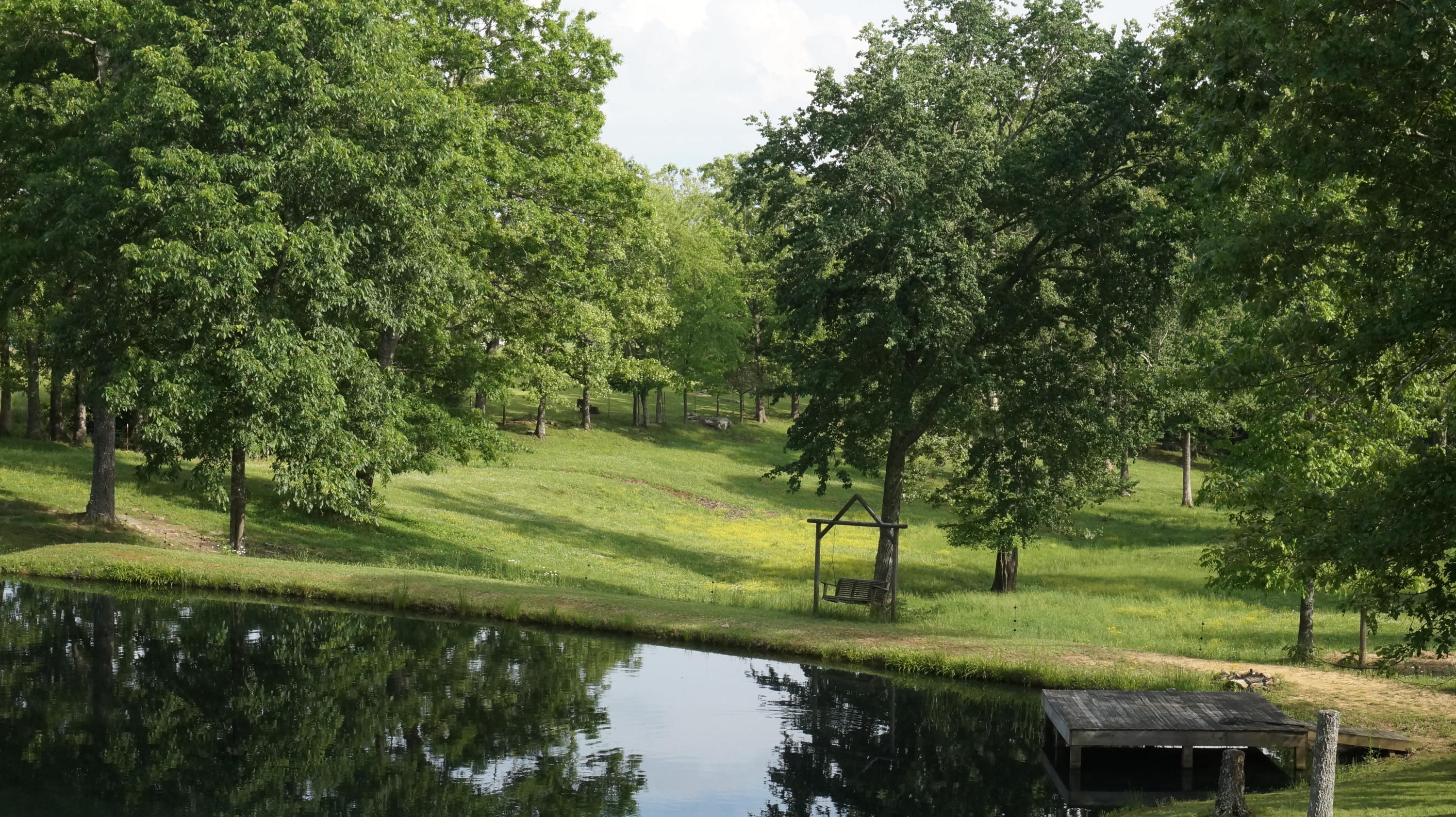 718 Martin Road Crossville, TN 38555 - Photo 19 of 24 DSC00759