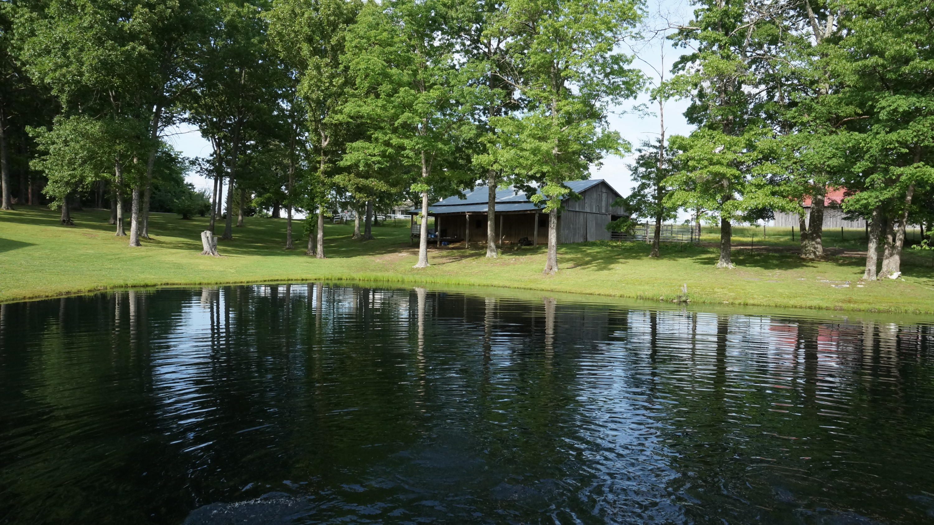 718 Martin Road Crossville, TN 38555 - Photo 21 of 24 DSC00764