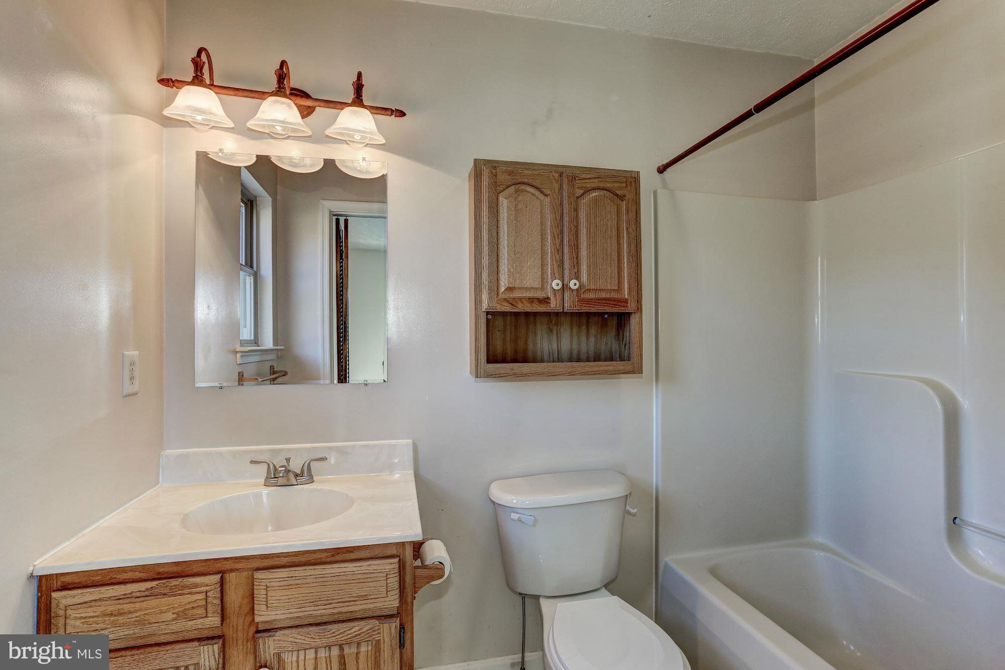 638 Freezeland Road Linden, VA 22642 - Photo 13 of 30 Master Bathroom with new sink fixture