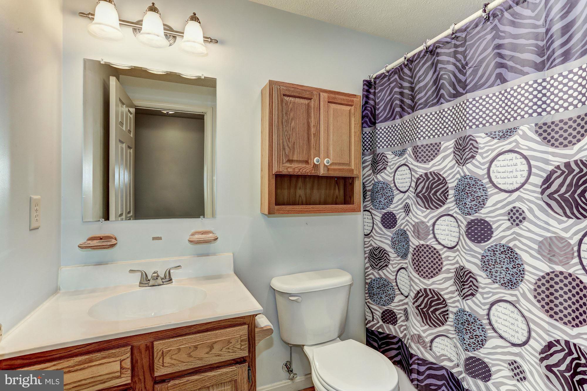 638 Freezeland Road Linden, VA 22642 - Photo 19 of 30 Basement full Bathroom