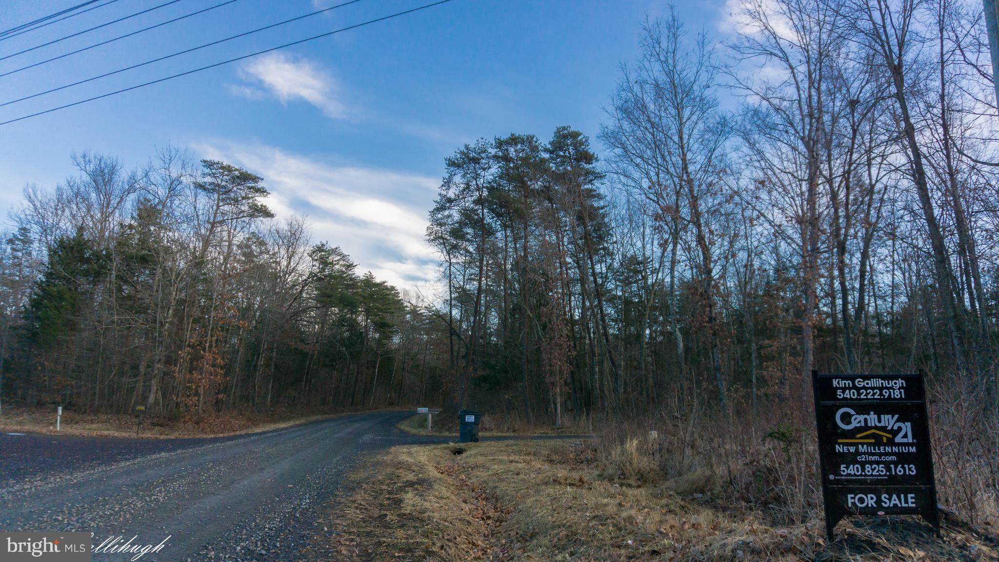 Somerville Road Mitchells, VA 22729 - Photo 2 of 6 Exterior (Rear)