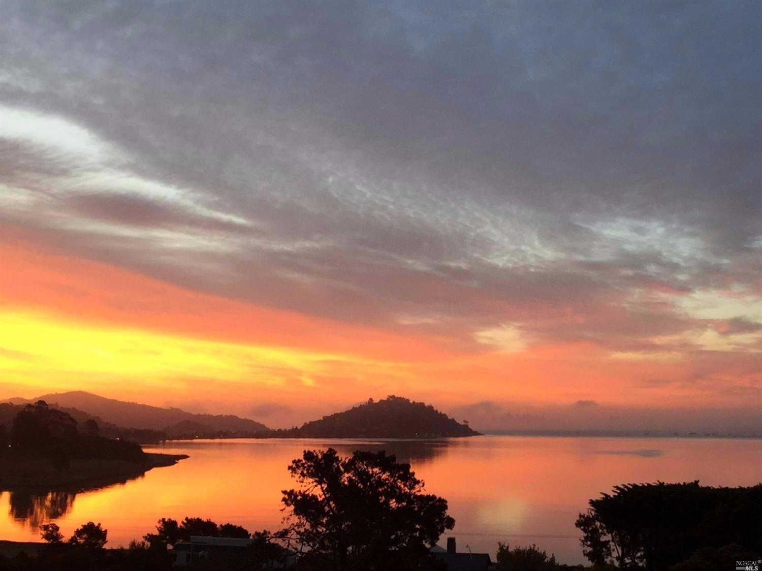 11 Reed Ranch Road Tiburon, CA 94920 - Photo 1 of 1 Welcome home to 11 Reed Ranch Road in beautiful Tiburon, California. We have provided MANY photos to help you with the phenomenons you will experience when viewing this classic, one-level home, but it is best to be viewed in person to get the full effect of this magical domicile.