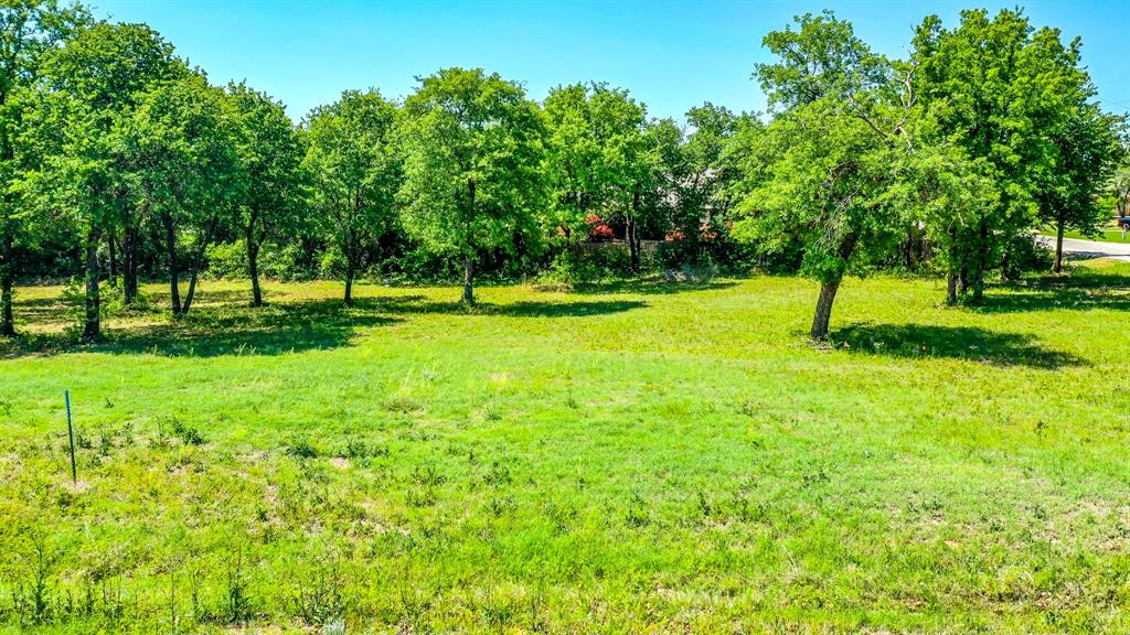 a view of field with trees